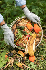 Compost heap pile with bio waste. Farmer with vegetables and fruits food scraps from bucket in...