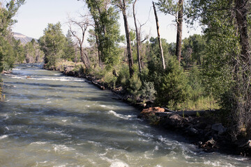 Uncompahgre River flows along Hwy 550 in the Rocky Mountains north of Ouray, Colorado