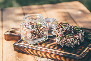 Glass Apothecary Bottle with Fresh Flowers Virginia silkweed Ready for Drying and Preparing Elixir...
