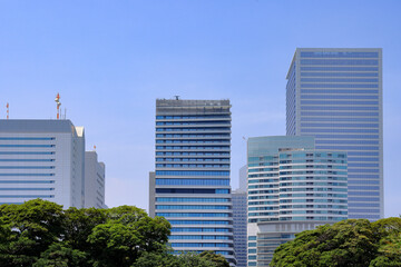 都心散歩　真夏の浜離宮恩賜庭園