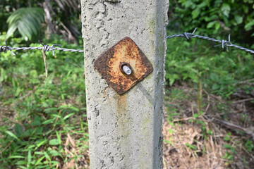 An old metal bolt and nut with a rusting metal plate (washer) attached to a concrete pole