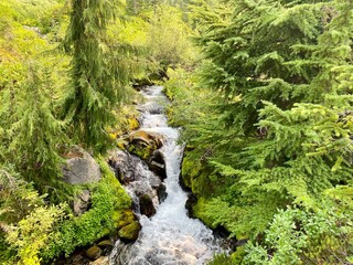 Fototapeta premium waterfall in the forest