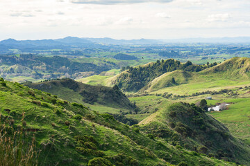 Fototapeta premium Farmland vista in the Waikato region of New Zealand