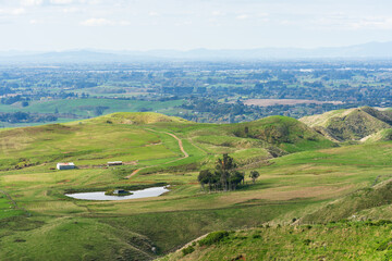 Farmland vista in the Waikato region of New Zealand