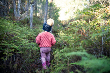 toddler hiking on the bush wearing a beanie walking in the forest in autumn cute