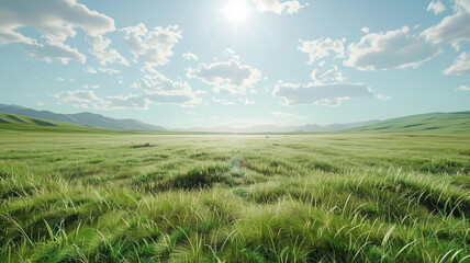 Obraz premium Natural and scenic backdrop featuring lush greenery trees and blue skies. natural backdrop, scenic backdrop, lush greenery, green trees, blue skies, nature background, scenic view,