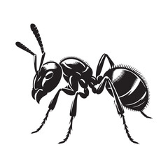 Ant silhouette vector