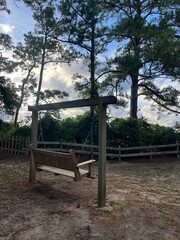 swing in the park