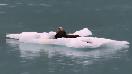 Glacier Bay, Alaska