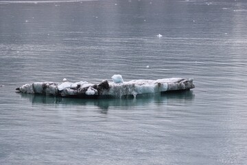 Glacier Bay, Alaska