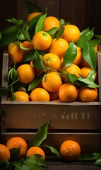 Fresh tangerines with leaves in a wooden box