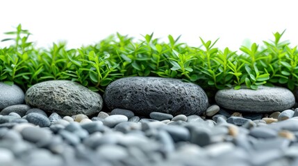 Zen Garden Stones and Greenery