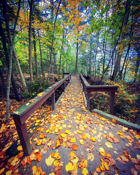Falls Season at Woods Neck State Park in Freeport, Maine USA