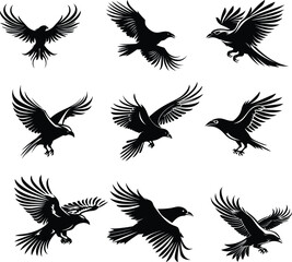 raven black and white silhouette vector illustration collection
