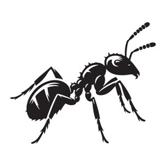 Ant silhouette vector