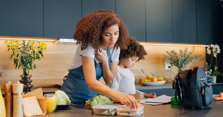 Multitask, phone call and woman in kitchen with child, packing lunch and routine in morning....