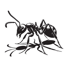 Ant silhouette vector