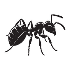Ant silhouette vector