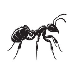Ant silhouette vector