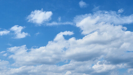 夏の夕方の空の積雲の様子