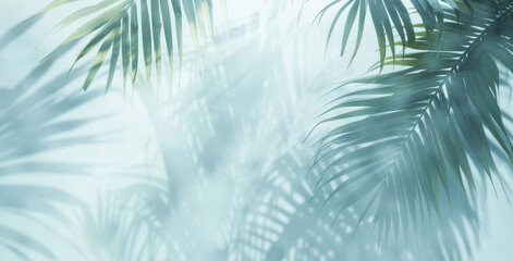 Palm Tree Shadow on White Wall Abstract Background with Blurry Leaves Light Blue Gray Summer Concept