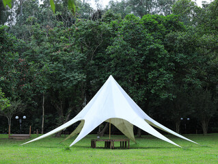 Green grass and tents in the park