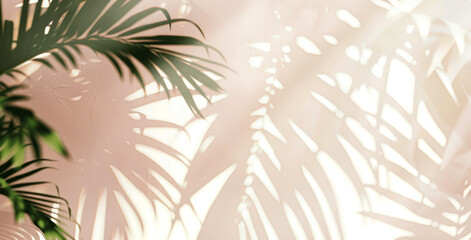 Obraz premium Blurry Silhouette Shadow of Tropical Palm Leaves on a Sunlit White Wall Background