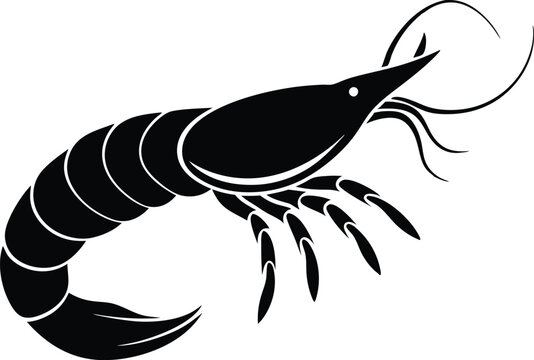 recommend clip art: shrimp vector silhouette, shrimp icon vector, Sea lobster
                    
                    