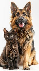 A photo of a dog and a cat together