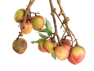 lychee isolated on white background