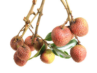 lychee isolated on white background