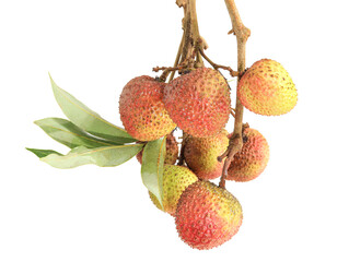 lychee isolated on white background