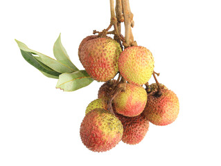 lychee isolated on white background