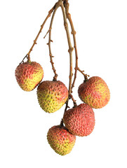 lychee isolated on white background