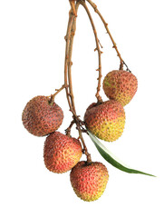 lychee isolated on white background
