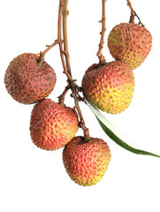 lychee isolated on white background
