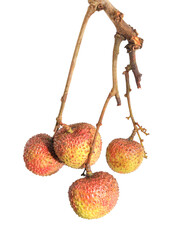 lychee isolated on white background