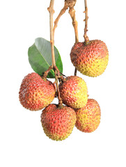 lychee isolated on white background