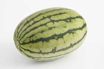 新鮮なラグビーボール型のスイカ 長崎県産 うり坊