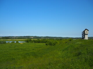 舞鶴遊水地の風景