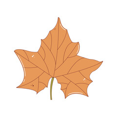 Orange maple tree leaf. Autumn fallen leaf, Colorful autumn concept. Fall foliage decoration, Seasonal holiday thanksgiving greeting card. Trendy flat vector isolated illustration.