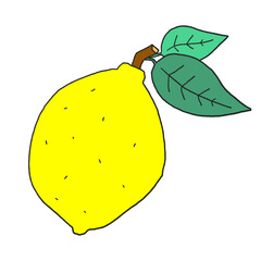 Fresh citrus lemon vector with green leaves