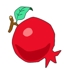 red organic pomegranate vector