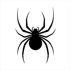 Black widow spider silhouette on white background. Spider icon sign vector illustration design.