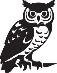 owl on white background