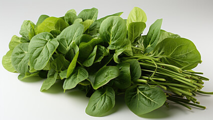 A malabar spinach with empty background. Created with generative AI