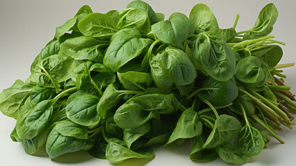 A malabar spinach with empty background. Created with generative AI