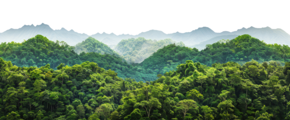 View of tropical forest with mountains on background, cut out