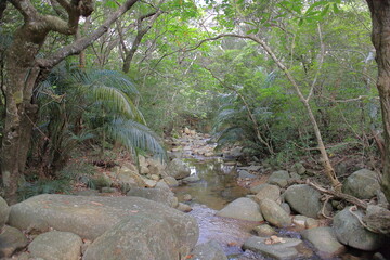 A mountain stream upstream of Nagura Dam