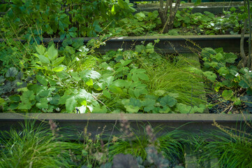 ハイラインの線路跡